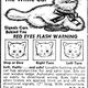 Illustration for article titled If You Can't Buy It, Build It: Wanky The Safety Cat